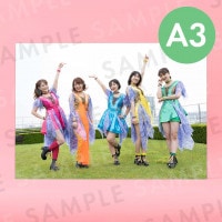 ���åץ��åץ����륺�ʲ��ˡʥ��������ơ����ˡü̿��ѥͥ�A3��291��414mm��