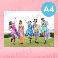 åץåץ륺ʲˡʥơˡü̿ѥͥA4204291mm