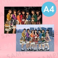 ʥʥɡü̿ѥͥA4204291mm