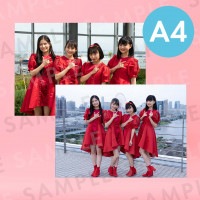 彣ü̿ѥͥA4204291mm