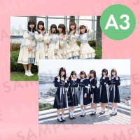 Ʃɥåסü̿ѥͥA3291414mm