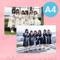 Ʃɥåסü̿ѥͥA4204291mm