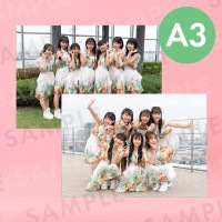 BudLaBü̿ѥͥA3291414mm