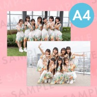 BudLaBü̿ѥͥA4204291mm