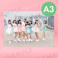 ���åץ��åץ����륺��2�ˡʥ��������ơ����ˡü̿��ѥͥ�A3��291��414mm��