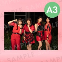 ����ե�å��ʥ��եȥ��ơ����ˡü̿��ѥͥ�A3��291��414mm��