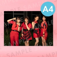 եåʥեȥơˡü̿ѥͥA4204291mm