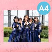 JewelCielʥեȥơˡü̿ѥͥA4204291mm