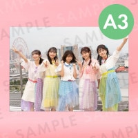 26���Υޥ����쥤�ɡʥ��������ơ����ˡü̿��ѥͥ�A3��291��414mm��