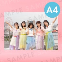 26Υޥ쥤ɡʥơˡü̿ѥͥA4204291mm