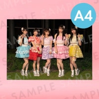 Luce Twinkle Winkʥեȥơˡü̿ѥͥA4204291mm