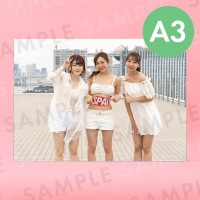 ž������*�ʥ��������ơ����ˡü̿��ѥͥ�A3��291��414mm��