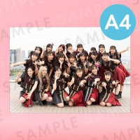 ɥ륫åʥơˡü̿ѥͥA4204291mm