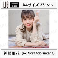 神崎風花（ex. Sora tob sakana）