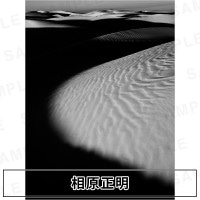 �긶�����ü̿��ѥͥ� WALLDECOR���������