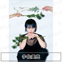 ������μ�áڥ�ǥ륵��������ۼ̿��ѥͥ� WALLDECOR���������