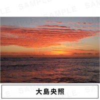 ������ȡáڼ̿��ȥ���������ۼ̿��ѥͥ� WALLDECOR���������