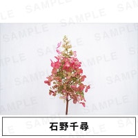 ������ҡü̿��ѥͥ� WALLDECOR���������
