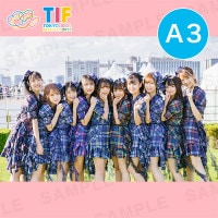 P-LocoA3ץȡ297420mm