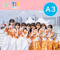 ƥ饹ߥƥ饹A3ץȡ297420mm