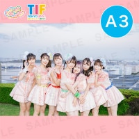 ե륹꡼A3ץȡ297420mm