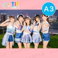 ޥ롦ѥ饤A3ץȡ297420mm