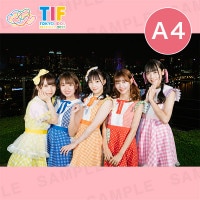 FESTIVEA4ץȡ297210mm