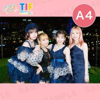 եեΥ󥹡A4ץȡ297210mm