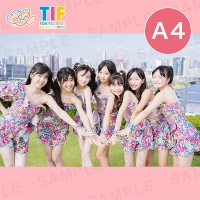 BudLaB A4ץȡ297210mm