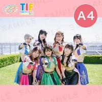 gurumaid=tiara/ƥA4ץȡ297210mm