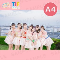 ե륹꡼A4ץȡ297210mm