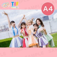 󥿥ѡƥA4ץȡ297210mm