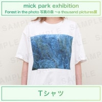 mick park - Forest in the photoT