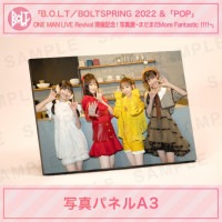 B.O.L.T �̿�Ÿ�ü̿��ѥͥ�A3����11���