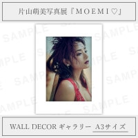 片山萌美-MOEMI♡｜WALL DECOR カジュアル A2サイズ（全3種 