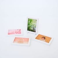 ���Ⱖ轡åߥ˳۱�ޥ��ͥåȡ���4���