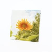 ���Ⱖ轡å���������SQmini�����Х��ѥͥ�