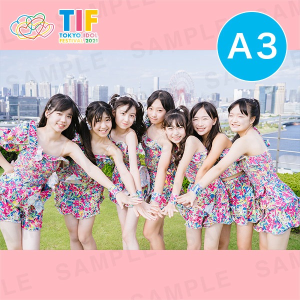 BudLaBA3ץȡ297420mm