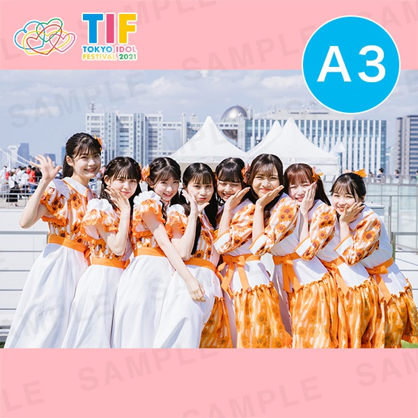 ƥ饹ߥƥ饹A3ץȡ297420mm