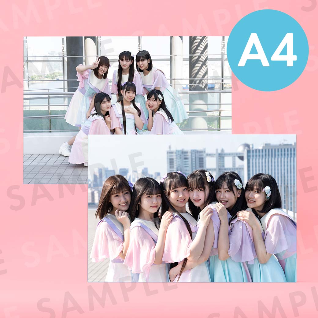 PiXMiX�ü̿��ѥͥ�A4��204��291mm��