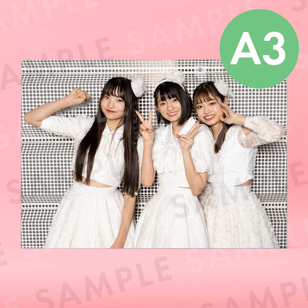 Task have Fun�ʥ��եȥ��ơ����ˡü̿��ѥͥ�A3��291��414mm��