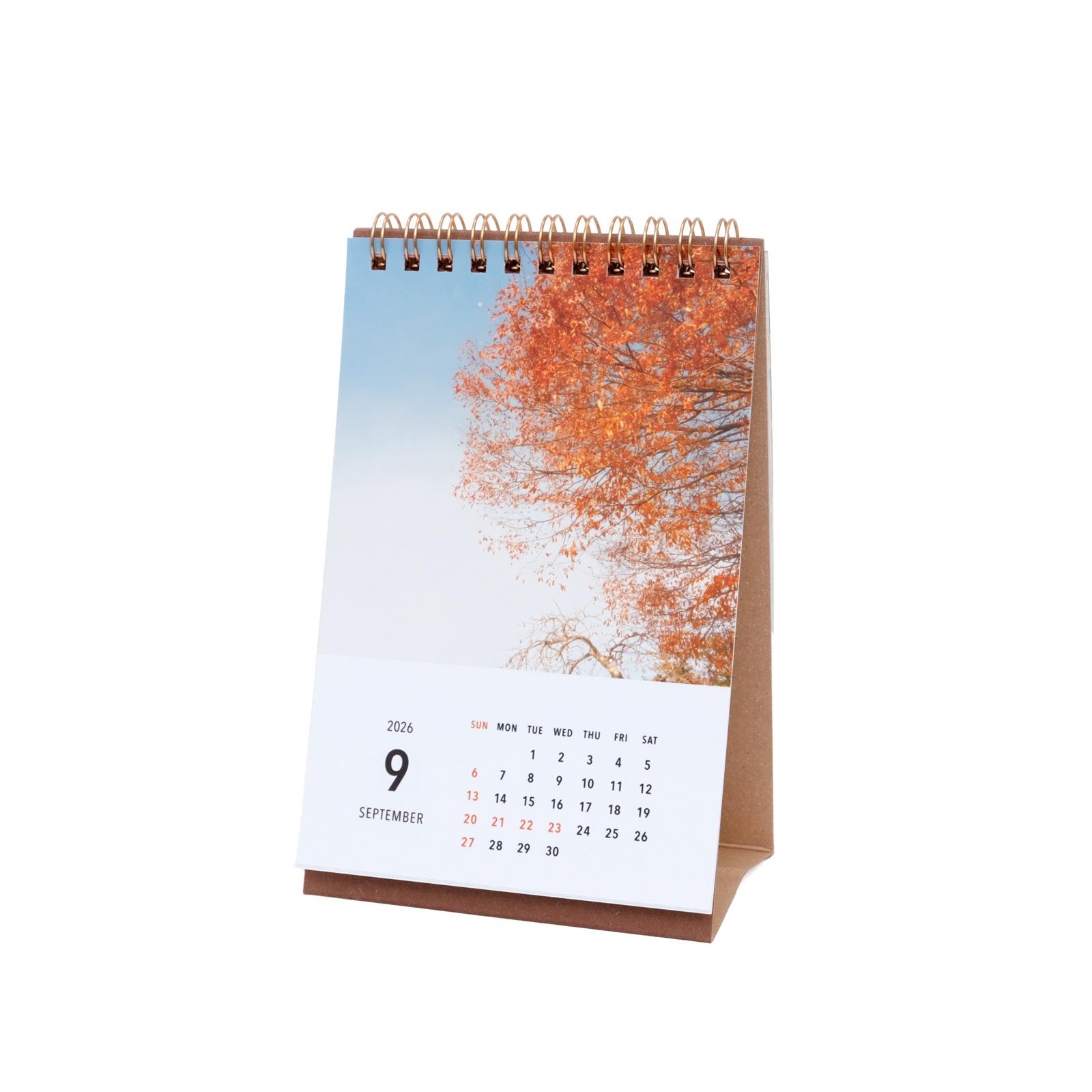 ���Ⱖ轡���奫������