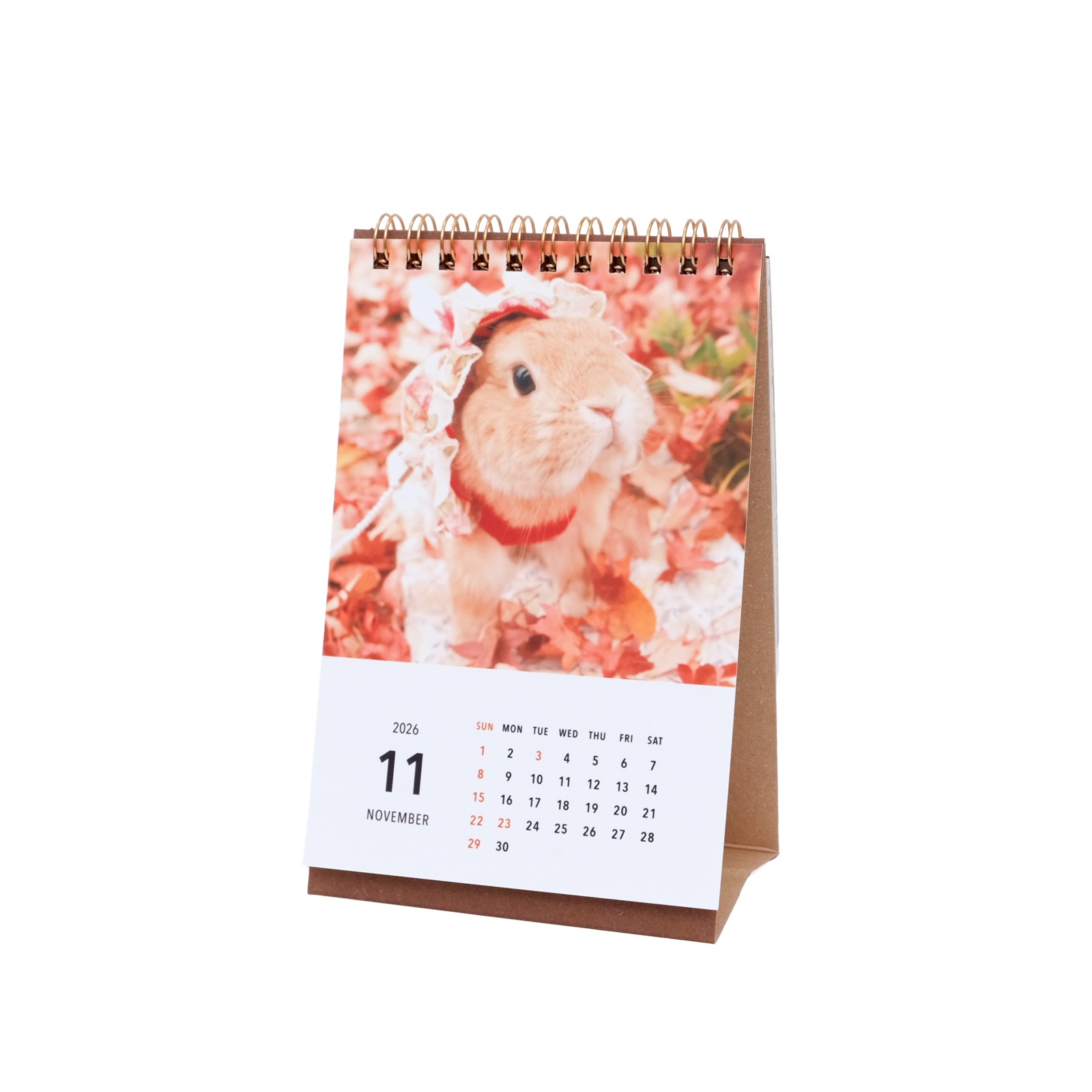 ���Ⱖ轡���奫������