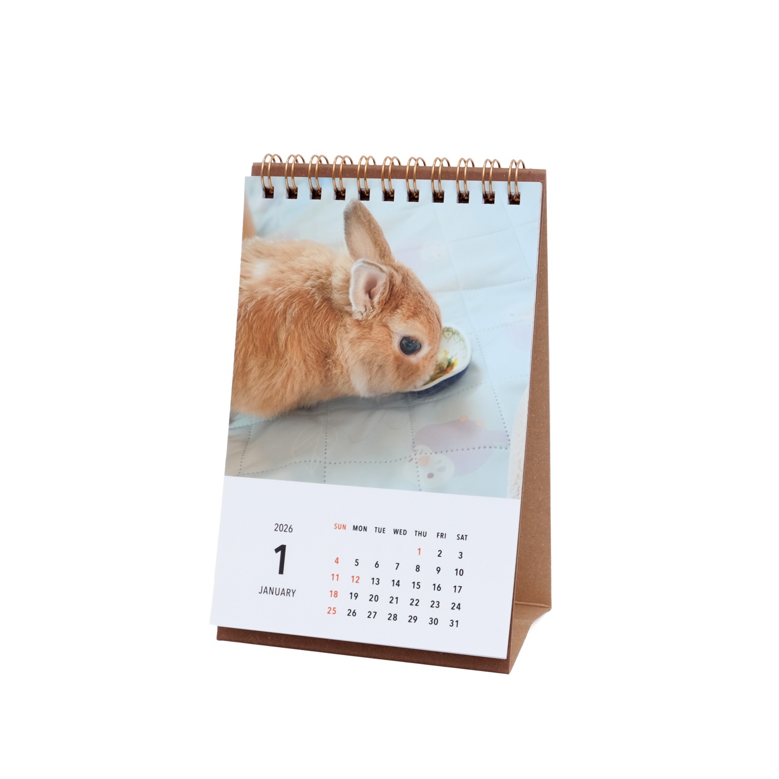 ���Ⱖ轡���奫������