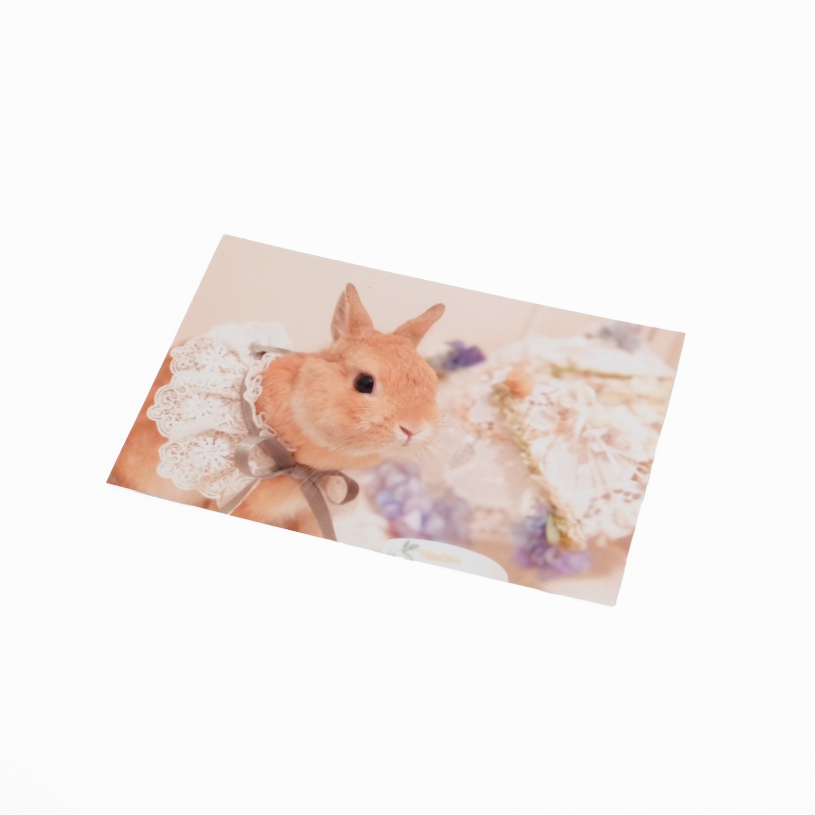 ���Ⱖ轡åݥ��ȥ����ɥ��å�