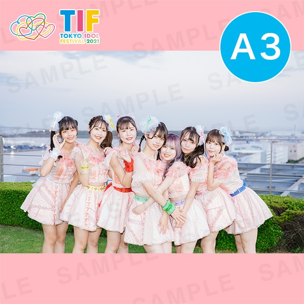 ե륹꡼A3ץȡ297420mm