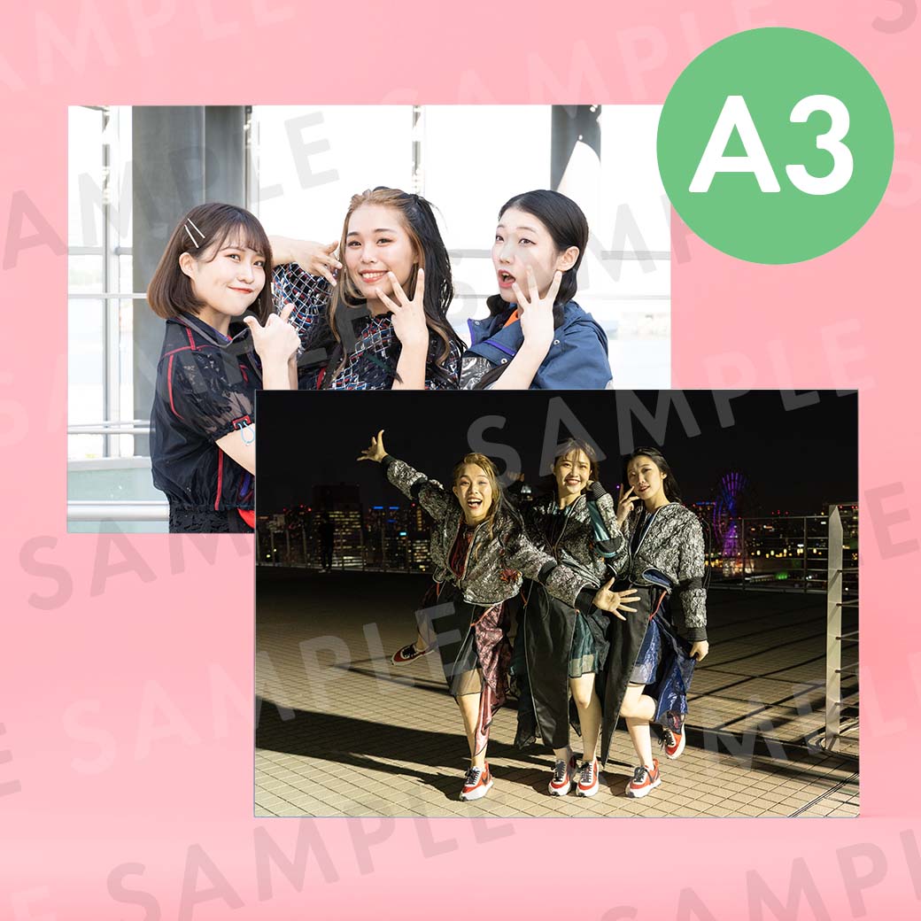 ����ե������ü̿��ѥͥ�A3��291��414mm��