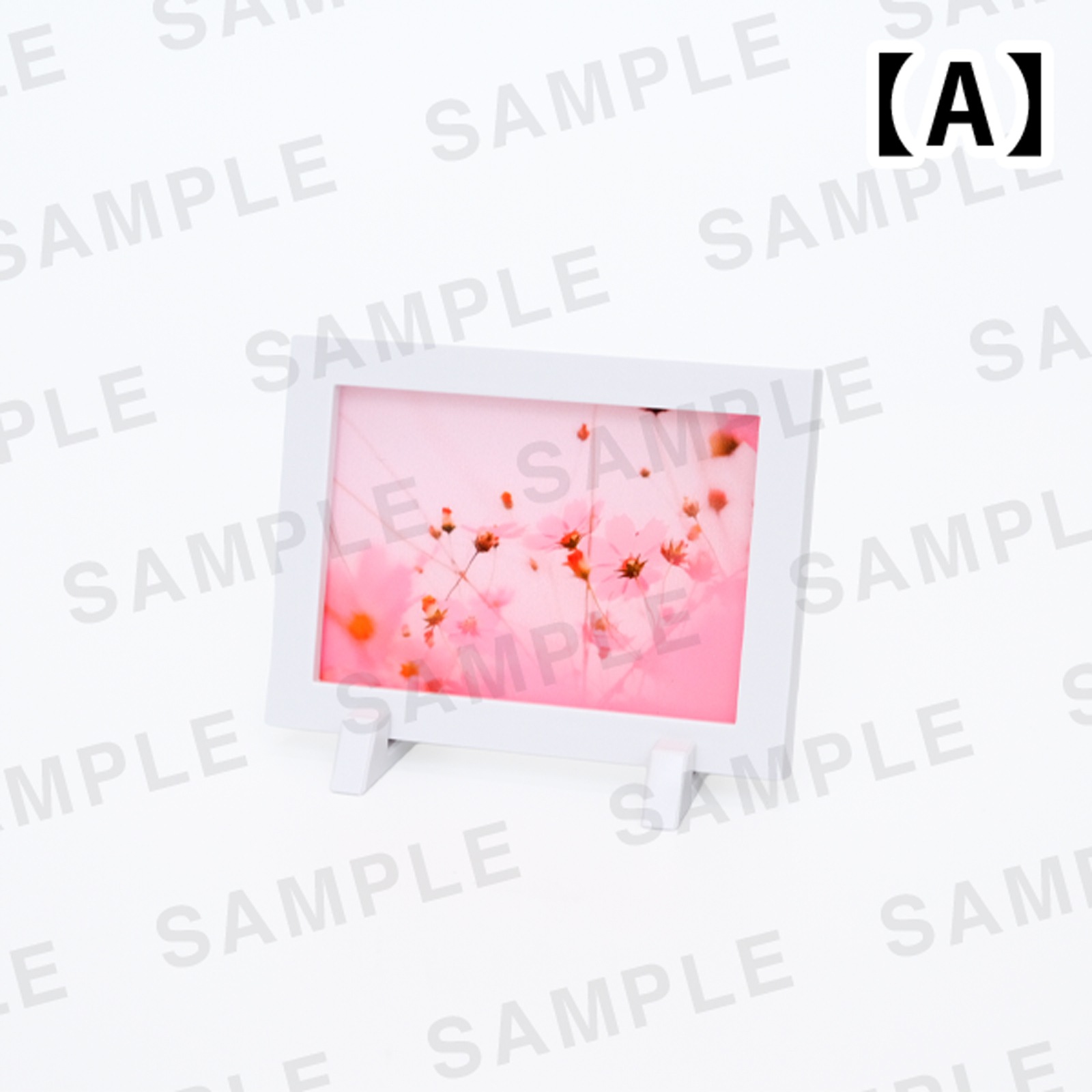 ���Ⱖ轡åߥ˳۱�ޥ��ͥåȡ���4���