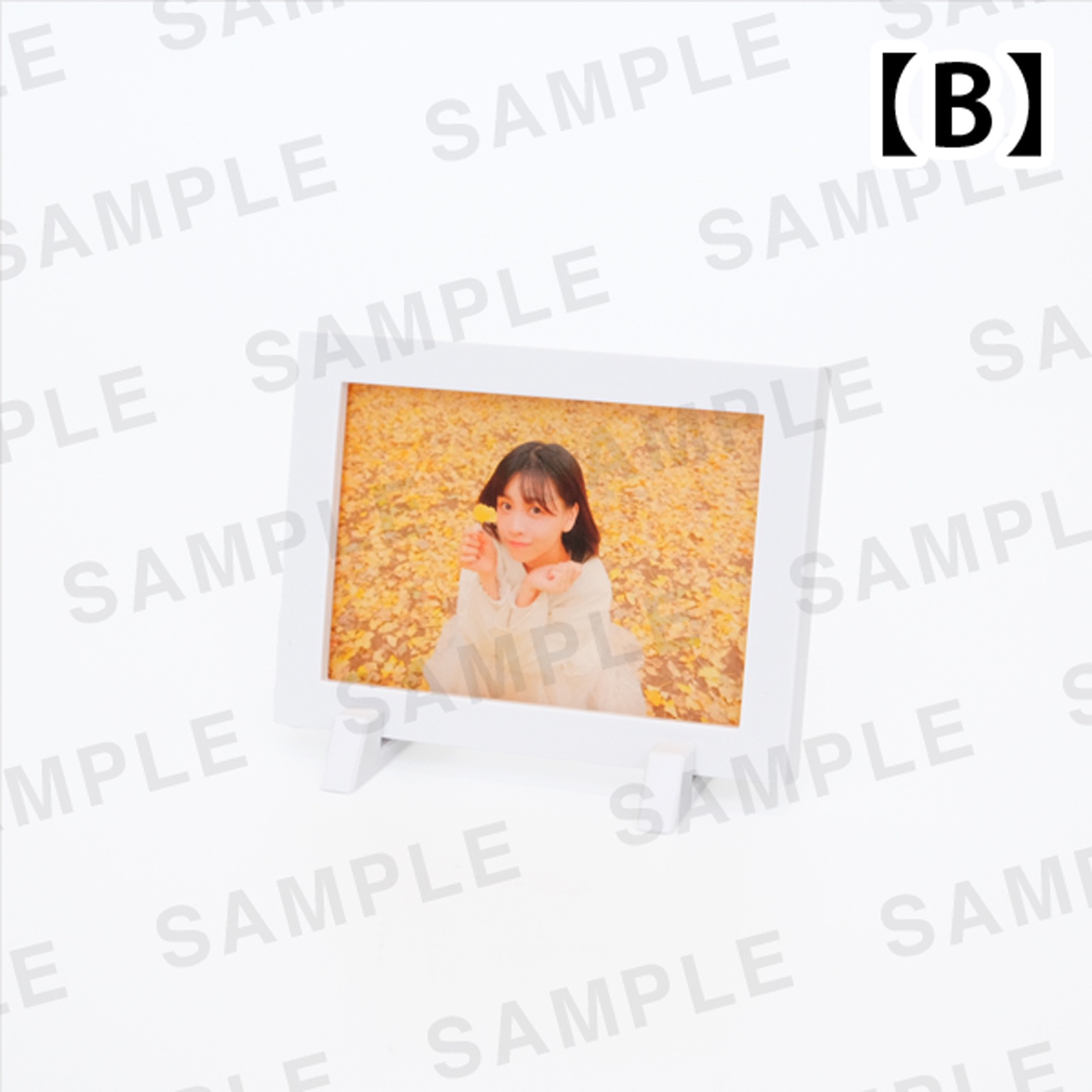 ���Ⱖ轡åߥ˳۱�ޥ��ͥåȡ���4���