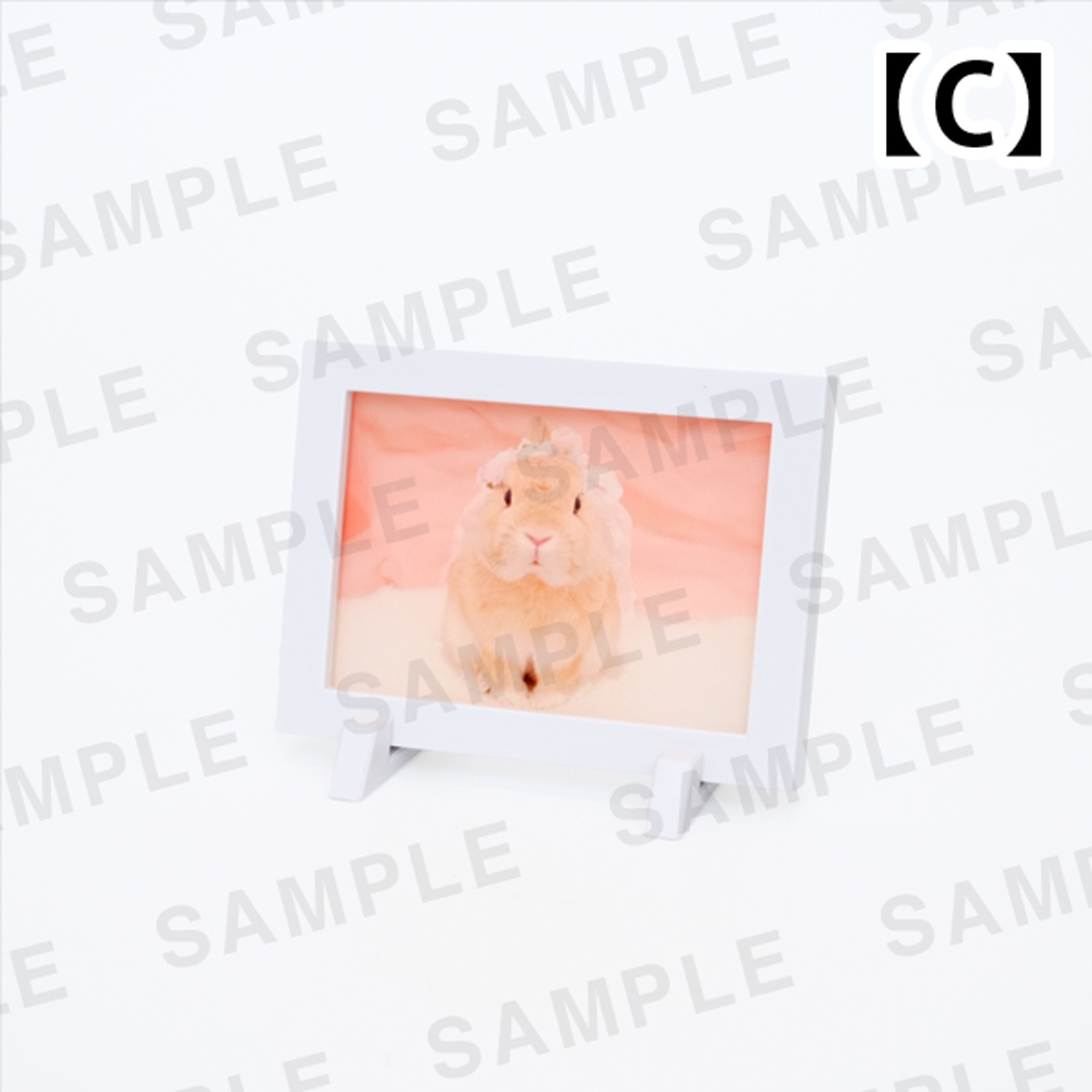 ���Ⱖ轡åߥ˳۱�ޥ��ͥåȡ���4���